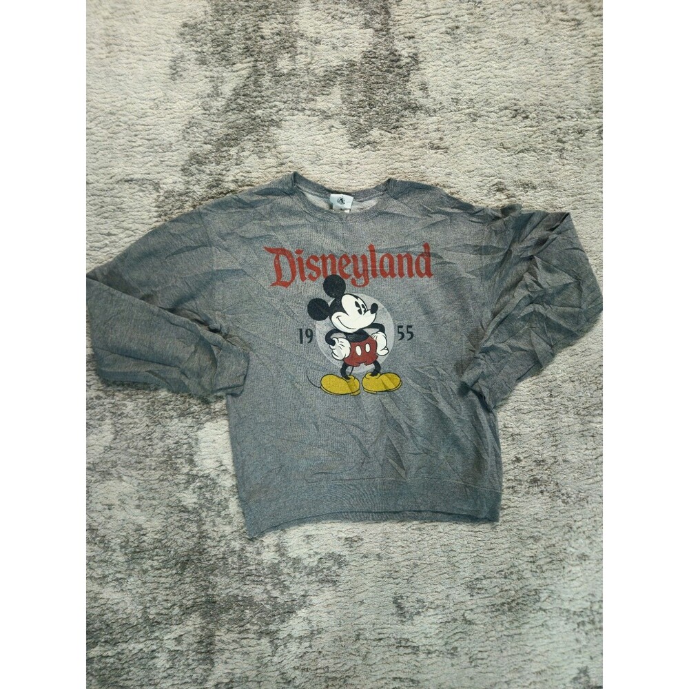 Disneyland Resort Sweatshirt Mickey Mouse Size M Men Pullover